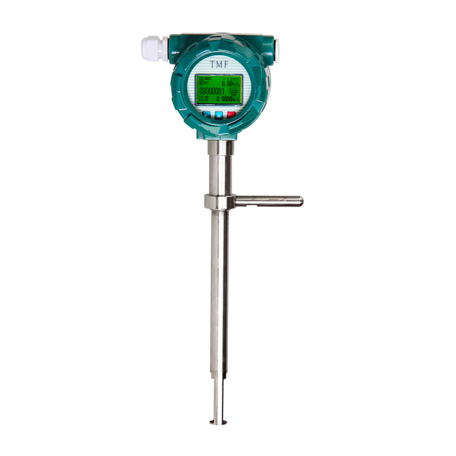 Thermal mass flow meter-plug-in